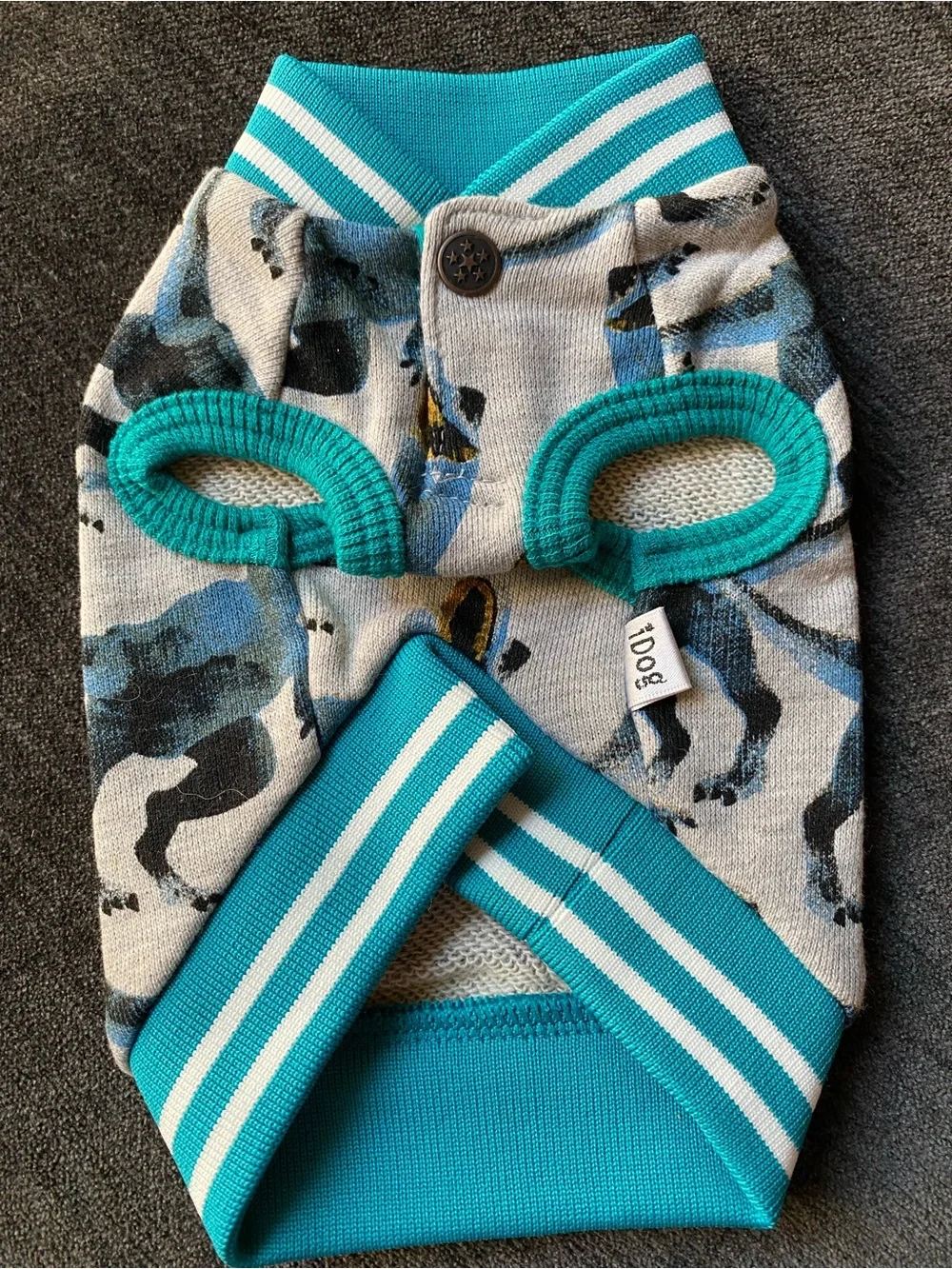 Teal & Blue Dinosaur Print Dog Pullover